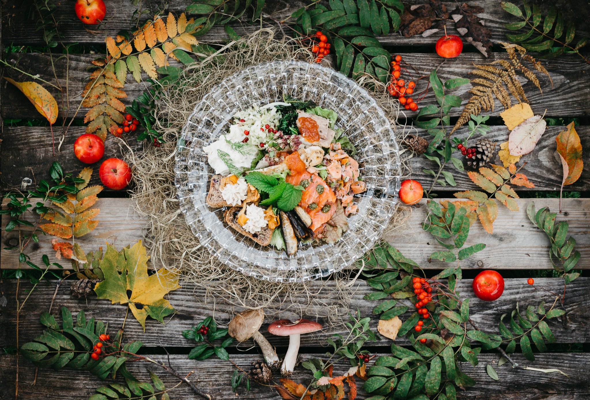 Taste Saimaan verkkosivu suitsutettiin top10 joukkoon!