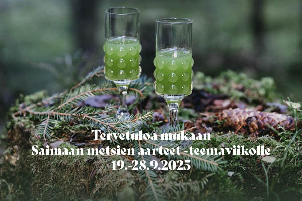 Saimaan metsien aarteet -teemaviikolla nähdään kahdeksan sisältöpilotointia